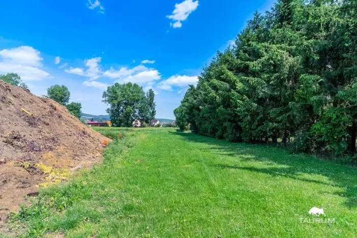 Prodej pozemku pro bydlení, Chodouň, 13216 m2