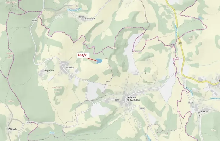 Dražba lesa, Nezdice na Šumavě, 10638 m2