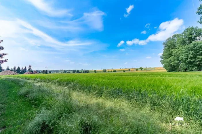 Prodej pozemku pro bydlení, Chodouň, 6455 m2