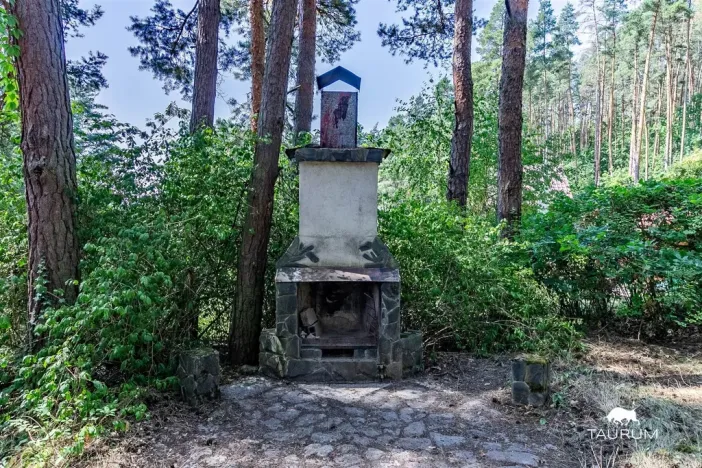 Prodej chaty, Stříbro - Butov, 73 m2