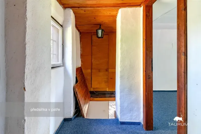 Prodej chaty, Stříbro - Butov, 73 m2