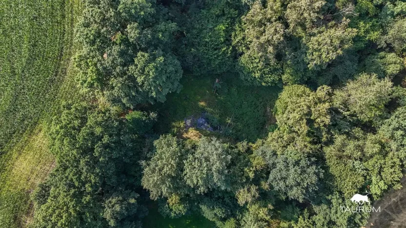 Prodej zahrady, Domažlice, 5634 m2