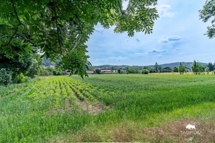Prodej pozemku pro bydlení, Chodouň, 6761 m2