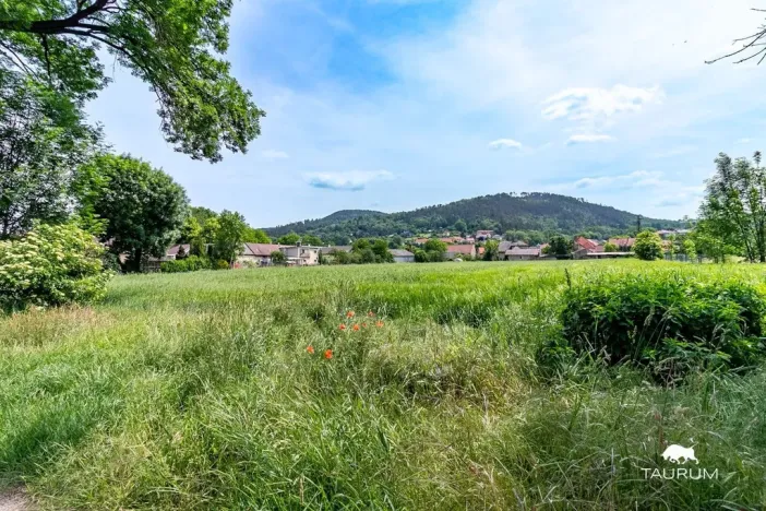 Prodej pozemku pro bydlení, Chodouň, 6761 m2