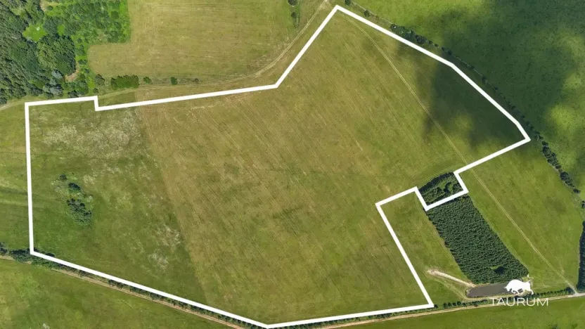 Prodej pozemku, Chudenín, 139968 m2