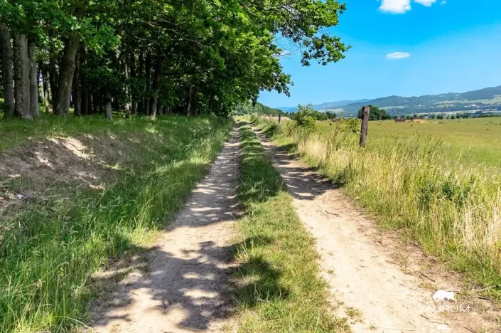 Prodej pozemku, Chudenín, 139968 m2