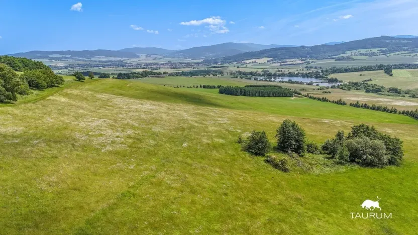 Prodej pozemku, Chudenín, 139968 m2