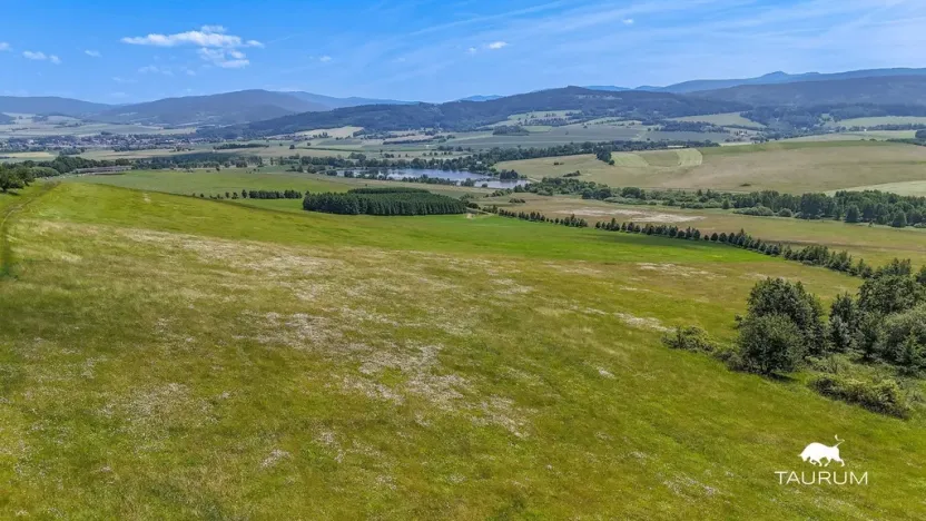 Prodej pozemku, Chudenín, 139968 m2