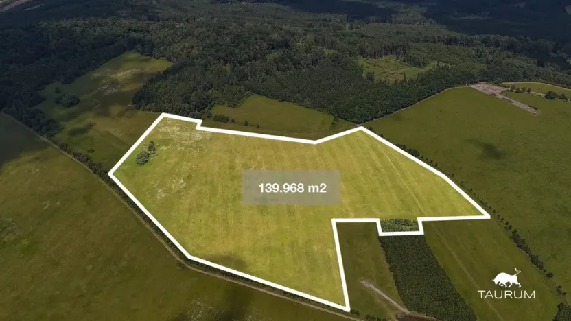 Prodej pozemku, Chudenín, 139968 m2