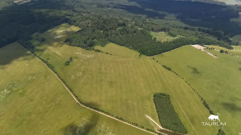 Prodej pozemku, Chudenín, 139968 m2