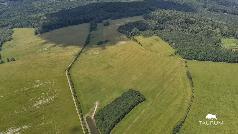 Prodej pozemku, Chudenín, 139968 m2