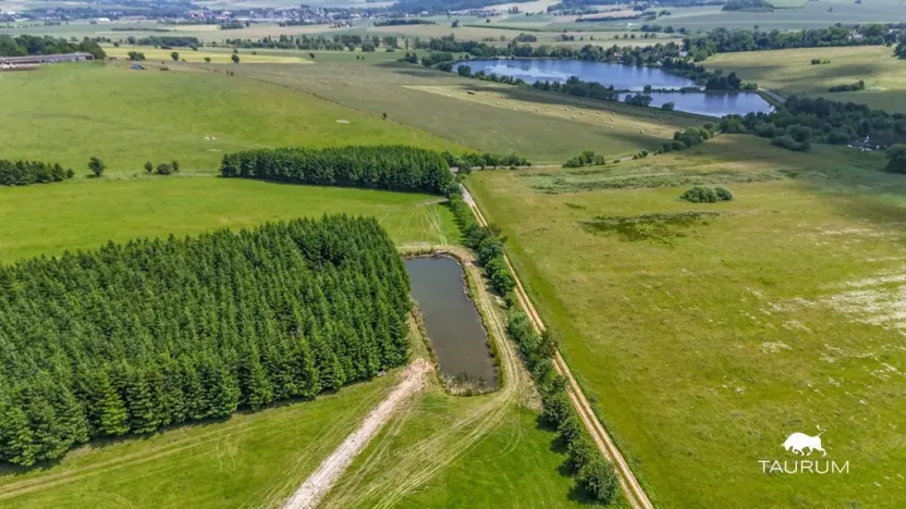 Prodej pozemku, Chudenín, 139968 m2