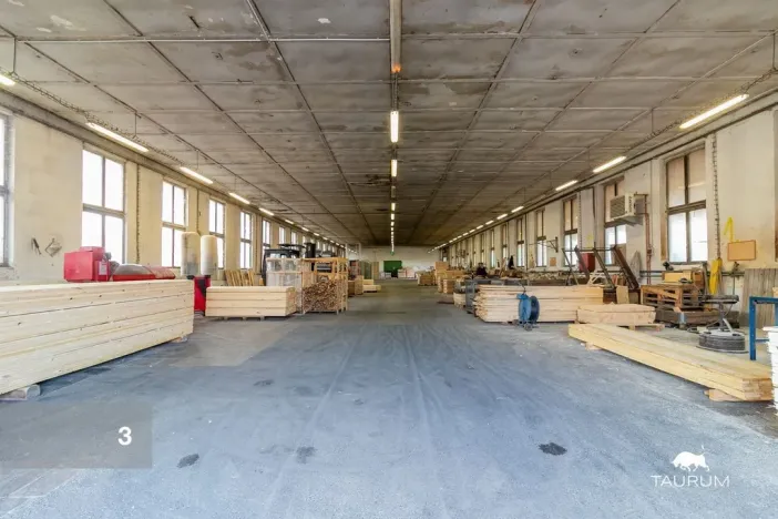 Prodej výrobních prostor, Zákupy, Nádražní, 21066 m2