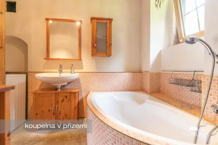 Prodej rodinného domu, Nečtiny - Čestětín, Čestětín, 365 m2