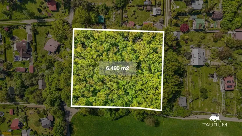 Prodej lesa, Petrov, 6490 m2