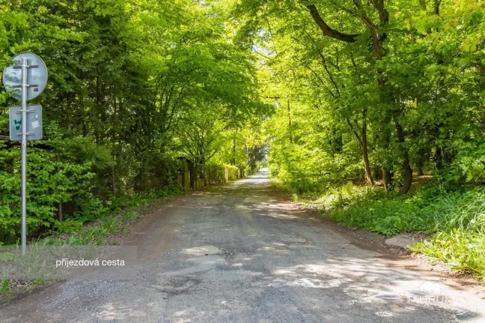 Prodej lesa, Petrov, 6490 m2