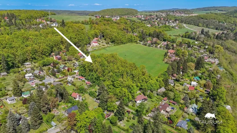 Prodej lesa, Petrov, 6490 m2