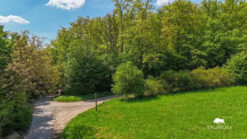 Prodej lesa, Petrov, 6490 m2