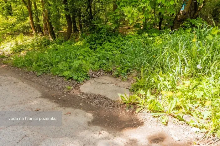 Prodej lesa, Petrov, 6490 m2