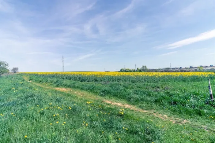 Prodej pozemku pro bydlení, Stříbro, 7355 m2