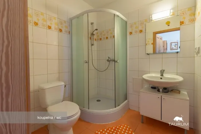 Prodej rodinného domu, Chocenice, 280 m2