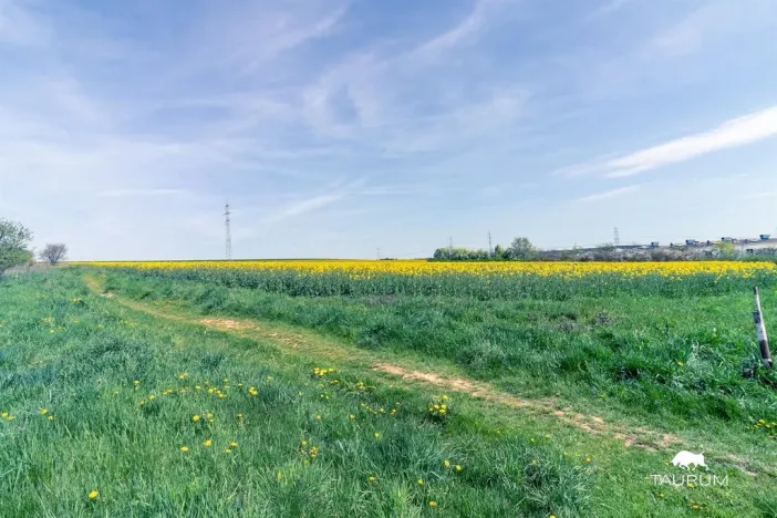 Prodej komerčního pozemku, Stříbro, 7355 m2