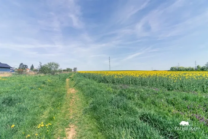 Prodej komerčního pozemku, Stříbro, 7355 m2