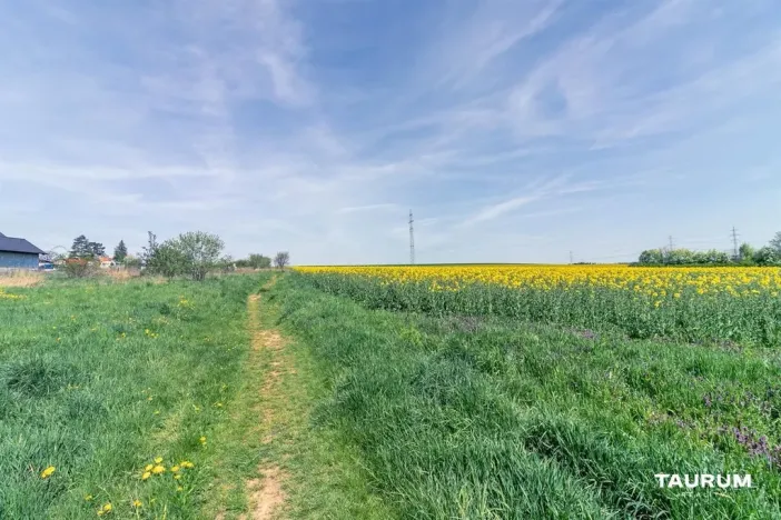 Prodej komerčního pozemku, Stříbro, 7355 m2