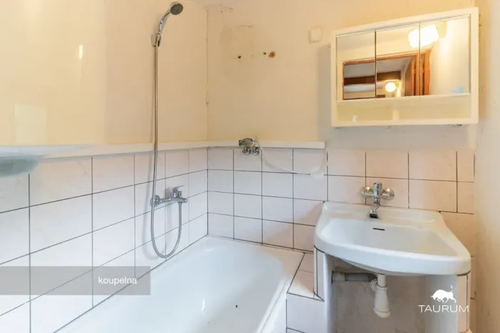 Prodej chaty, Pláně - Ondřejov, 70 m2