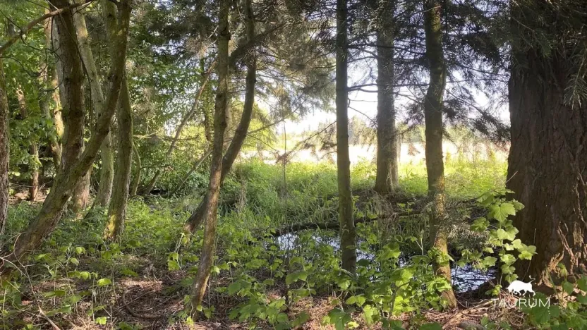 Prodej pozemku pro bydlení, Plzeň, 1019 m2