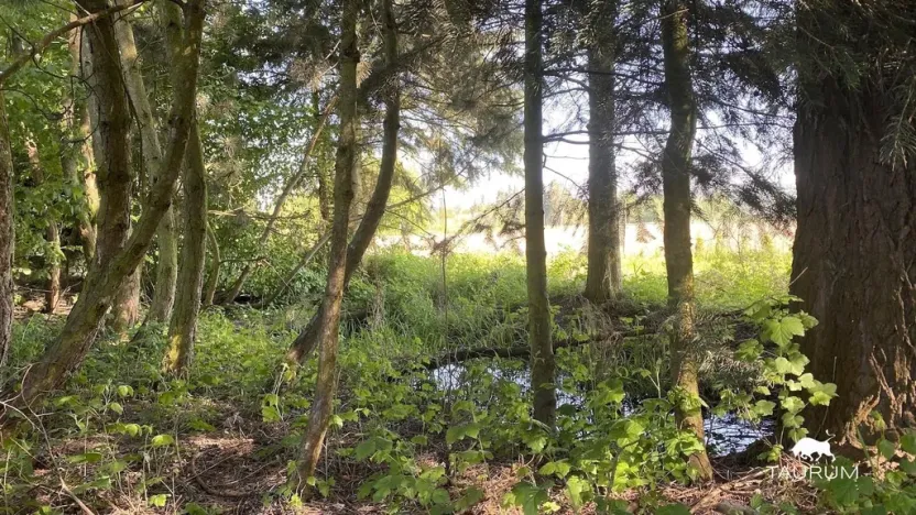 Prodej pozemku pro bydlení, Plzeň, 910 m2