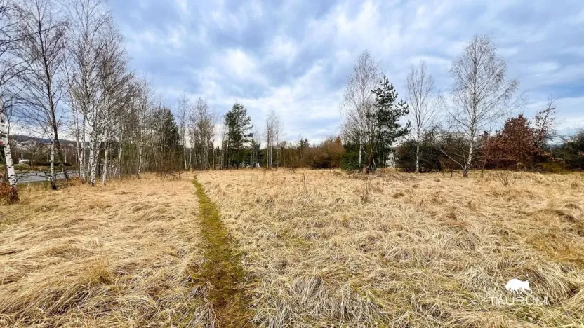 Prodej komerčního pozemku, Dalovice, 11759 m2