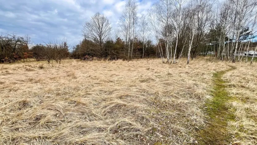 Prodej komerčního pozemku, Dalovice, 11759 m2