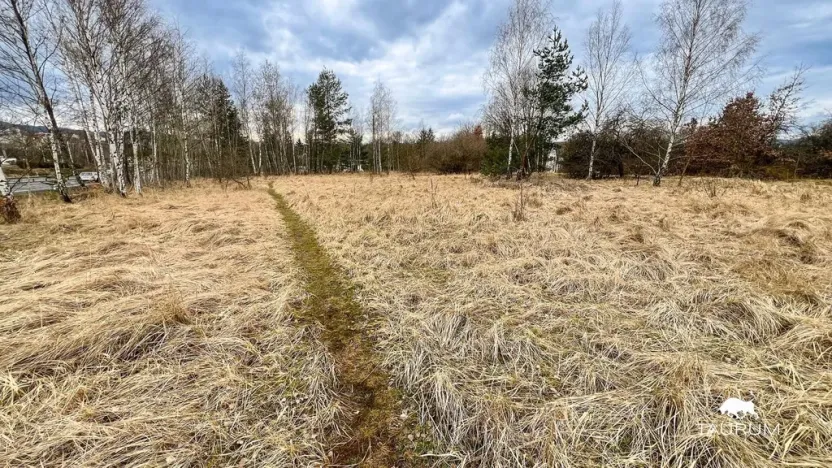 Prodej komerčního pozemku, Dalovice, 11759 m2