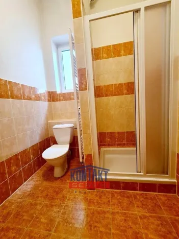 Pronájem bytu 1+kk, České Budějovice - České Budějovice 3, 32 m2