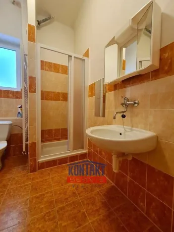 Pronájem bytu 1+kk, České Budějovice - České Budějovice 3, 32 m2