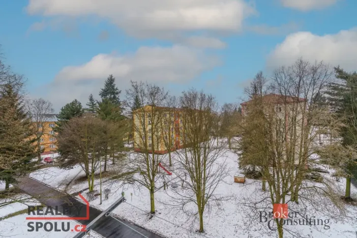 Pronájem bytu 2+1, Sokolov, Karla Čapka, 57 m2