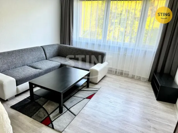 Pronájem bytu 2+1, Paskov, Papírenská, 46 m2