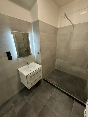 Pronájem bytu 1+kk, Praha - Krč, U strže, 47 m2