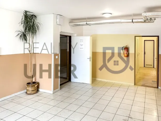 Prodej bytu 1+kk, Bělá pod Bezdězem, Tyršova, 37 m2