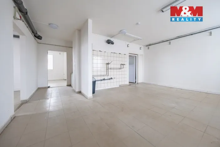 Prodej rodinného domu, Příbram - Příbram VI-Březové Hory, K Podlesí, 326 m2