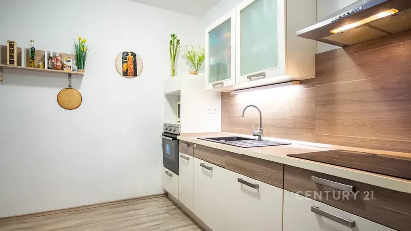 Prodej bytu 2+kk, Plzeň, U Velkého rybníka, 58 m2