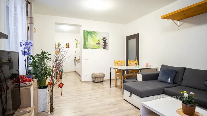 Prodej bytu 2+kk, Plzeň, U Velkého rybníka, 58 m2