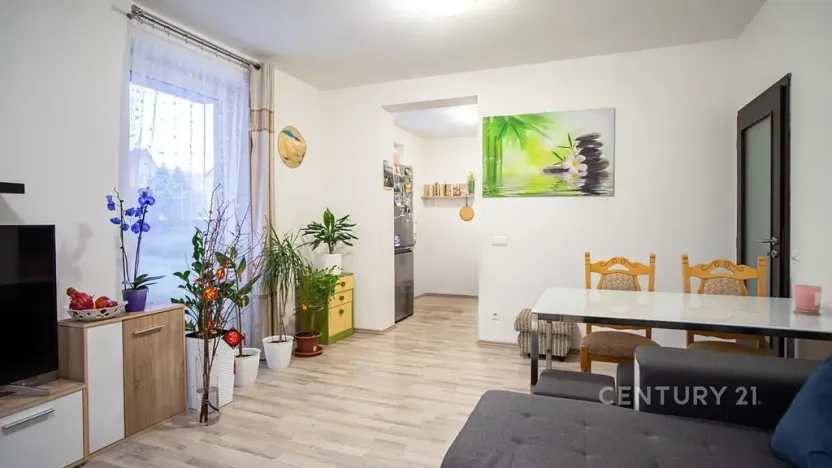 Prodej bytu 2+kk, Plzeň, U Velkého rybníka, 58 m2