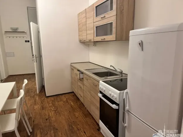 Pronájem bytu 1+1, Praha - Vinohrady, Řipská, 47 m2