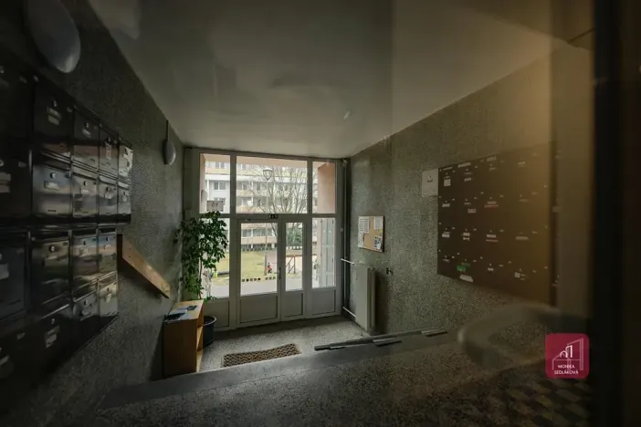 Prodej bytu 1+kk, Brno, Žitná, 29 m2