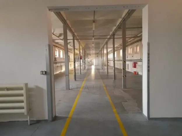 Pronájem skladu, Hodonín, Čajkovského, 800 m2