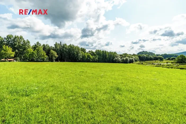 Prodej komerčního pozemku, Nová Pec, 9752 m2