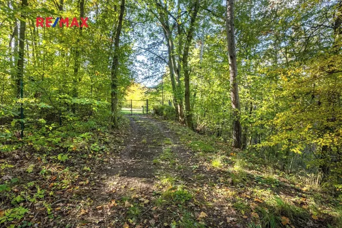 Prodej lesa, Praha - Malá Chuchle, 17570 m2