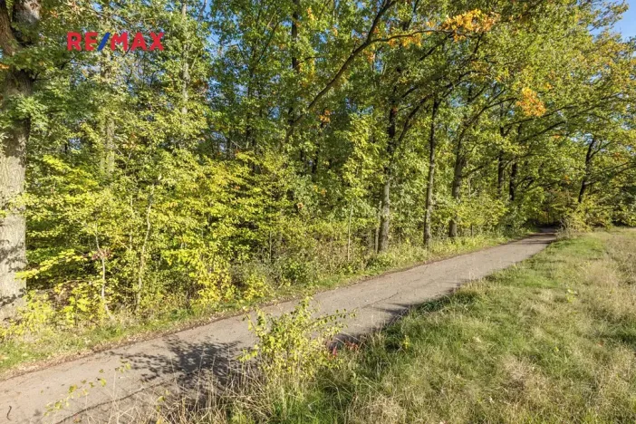 Prodej lesa, Praha - Malá Chuchle, 17570 m2